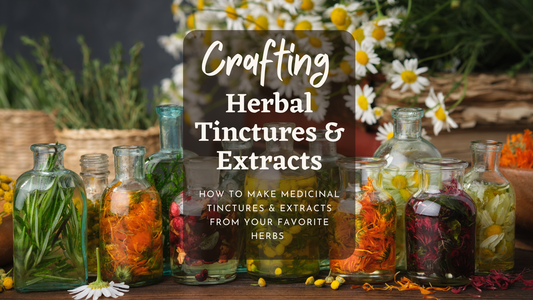 Crafting Herbal Tinctures & Extracts 🌿🌸