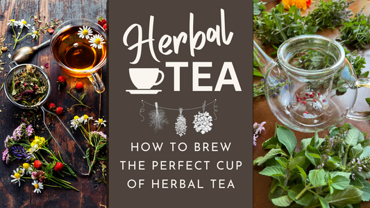 🌿 How to Brew Herbal Tea, Guide to Infusions, Decoctions & More
