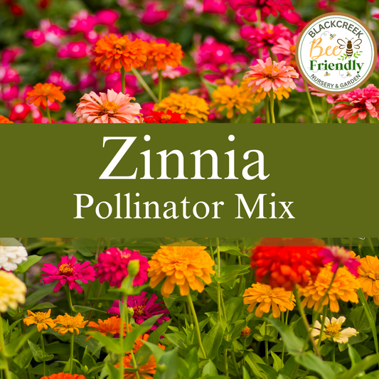 Zinnia Pollinator Mix Seeds